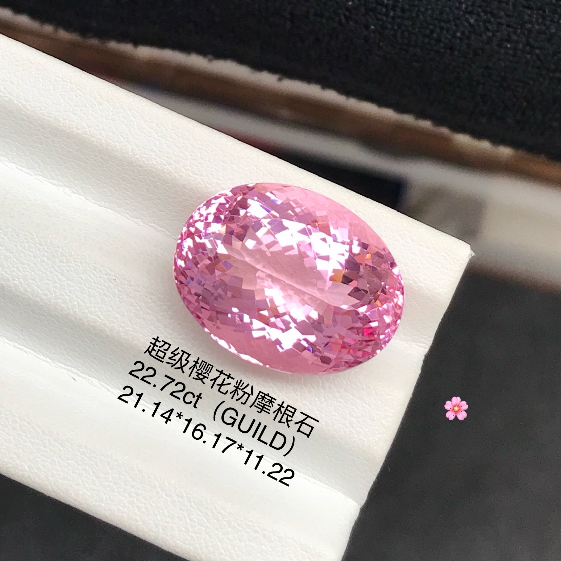 Collector-Grade | Sakura Pink Morganite Loose Stone