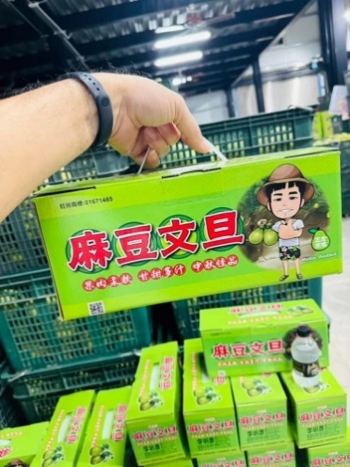 台南正宗麻豆產地直送！老欉文旦禮盒（1.5KG／3KG）