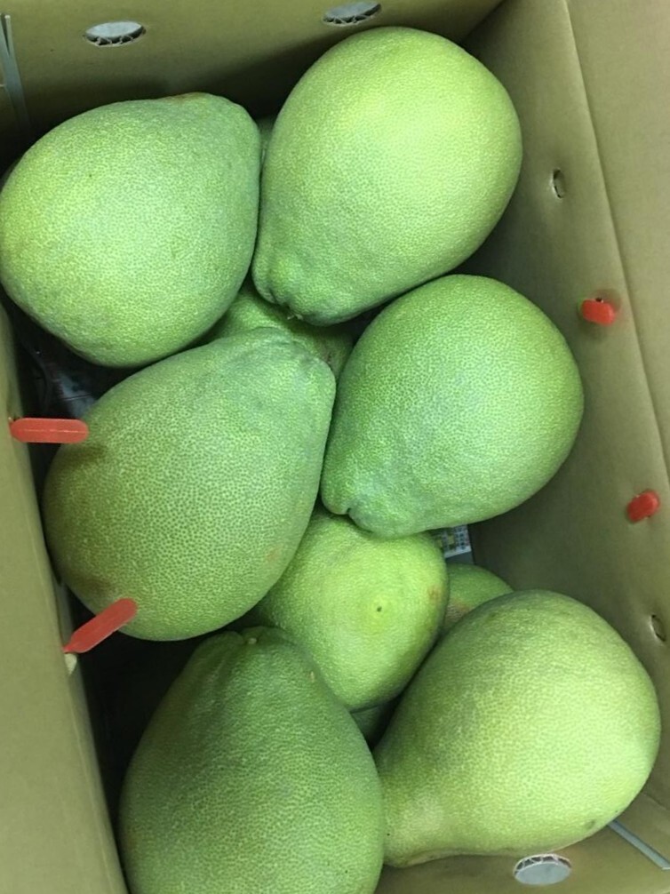 台南正宗麻豆產地直送！老欉文旦禮盒（1.5KG／3KG）