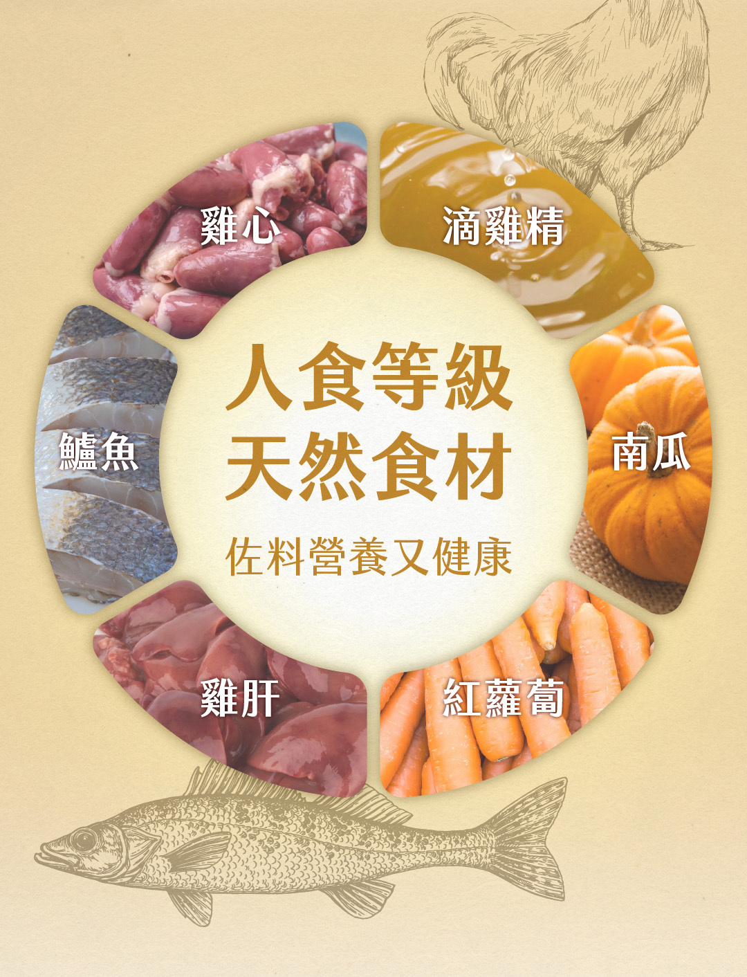 喵食喵事追求透明以人食等級對待寵物食品