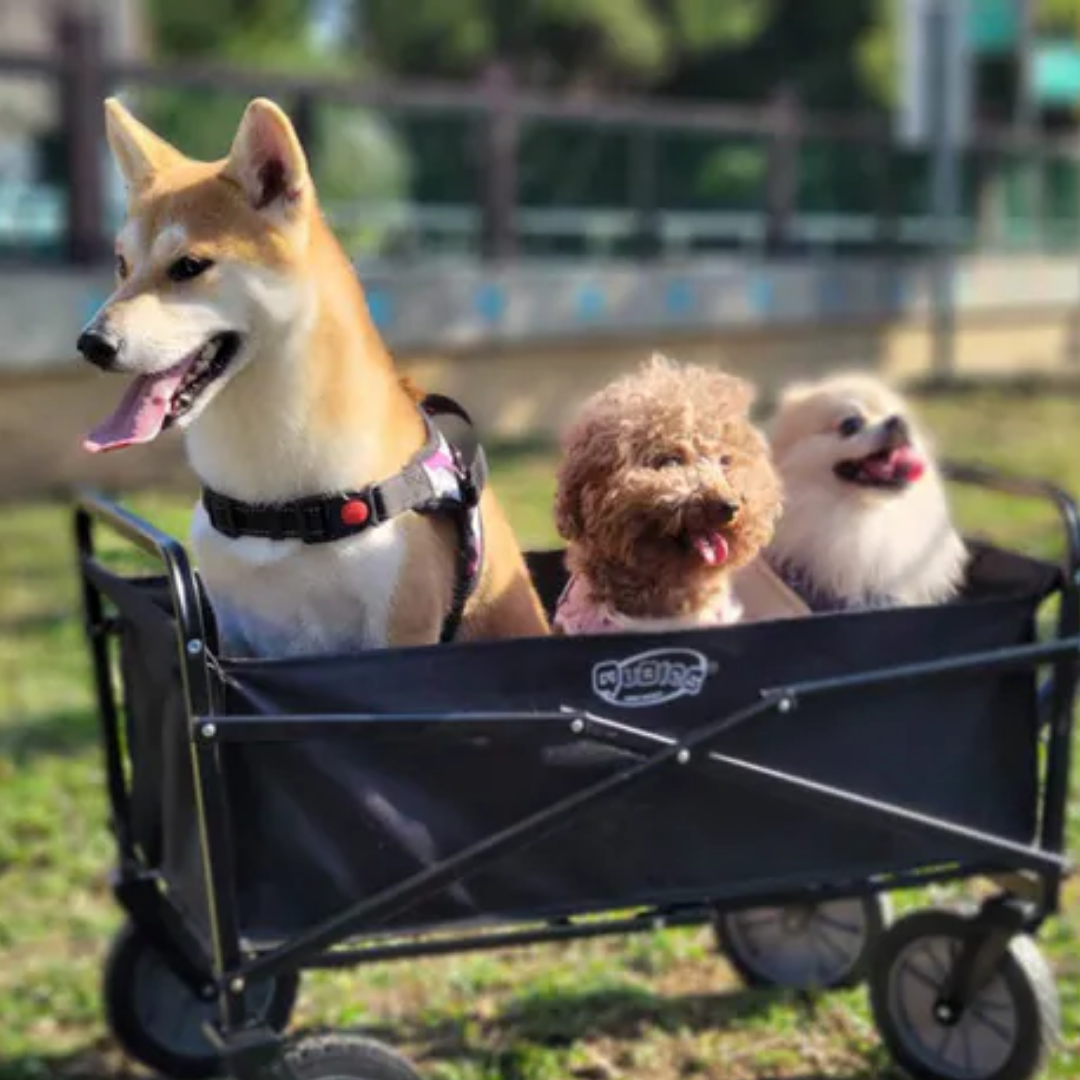 Qubies 折疊置物手拉車 黑色