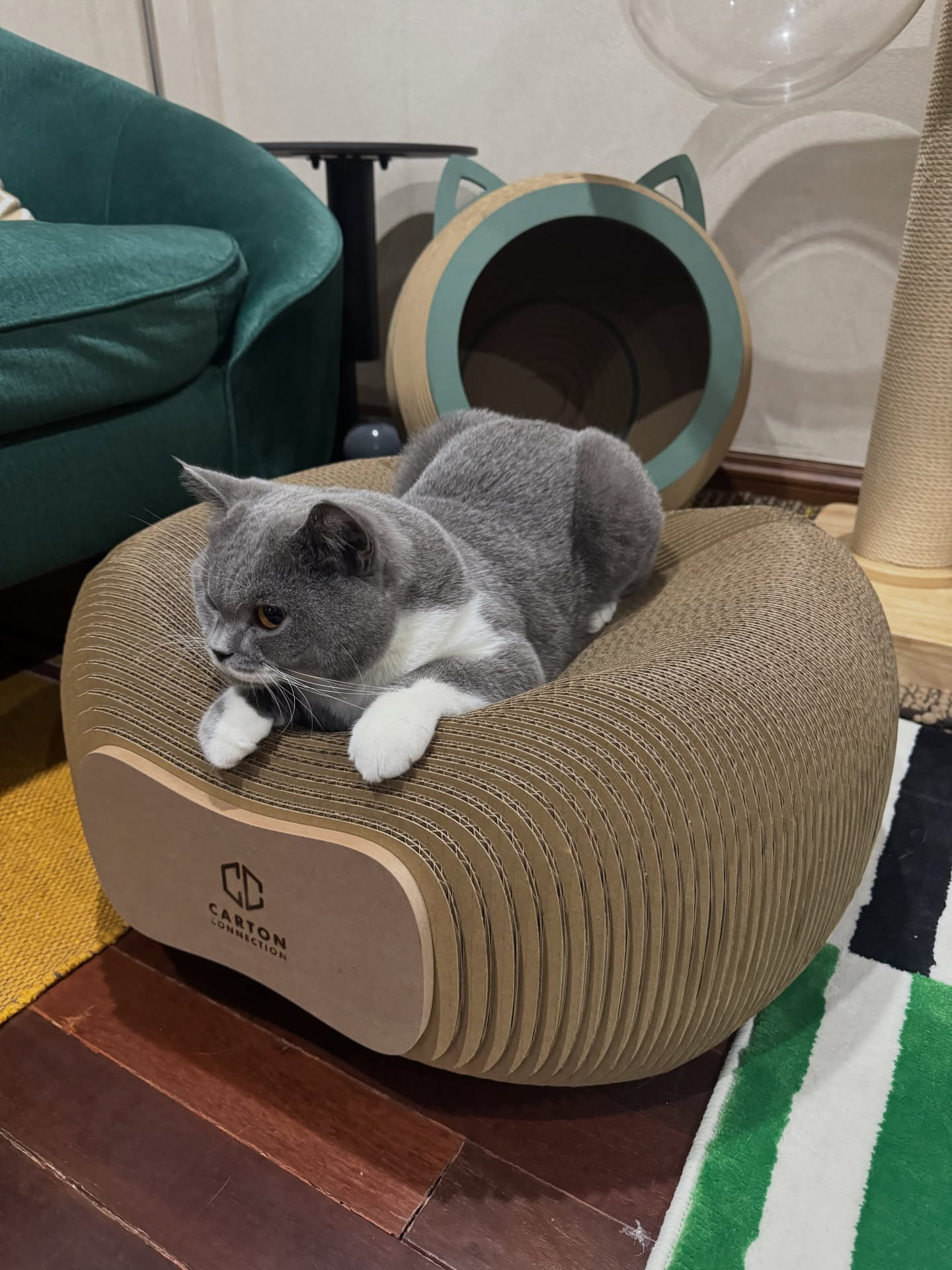 泰國 Carton Connection 雙面貓抓床 (Corrubowl)