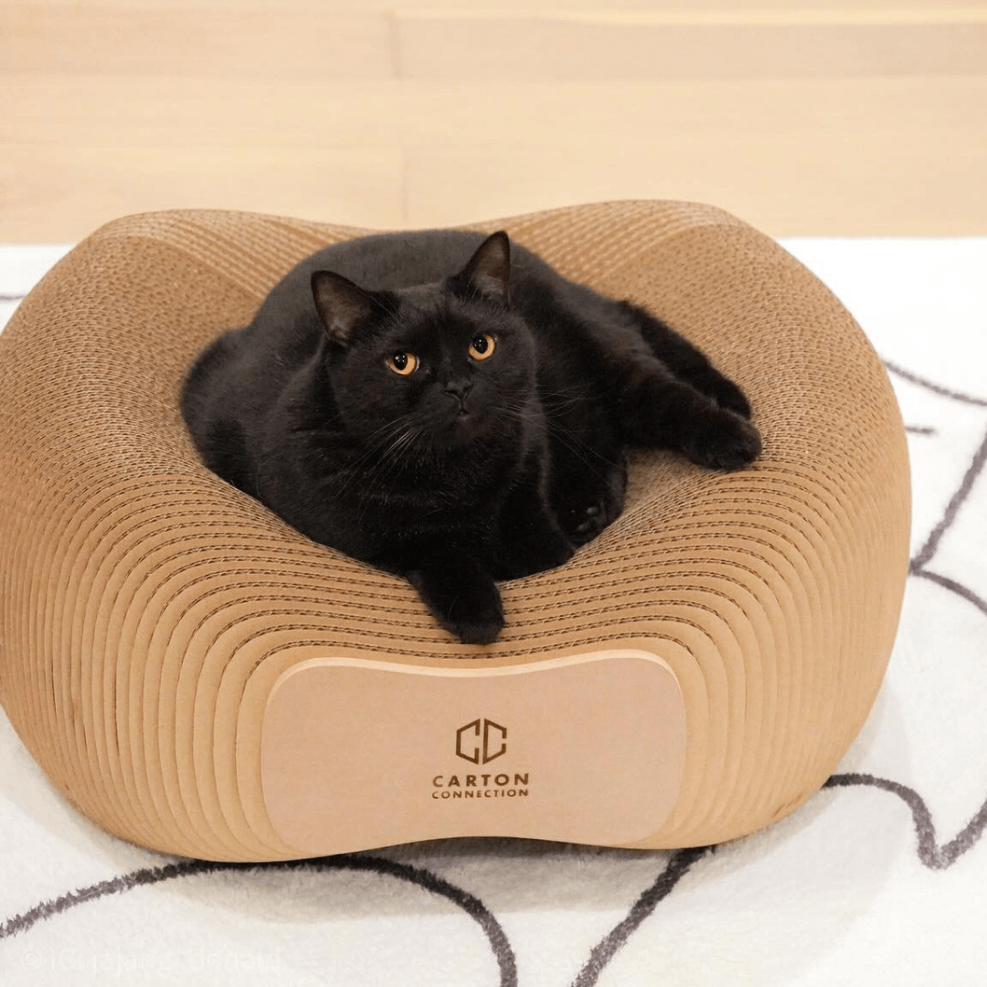 (Thailand) Carton Connection Corrubowl Cat Scratcher