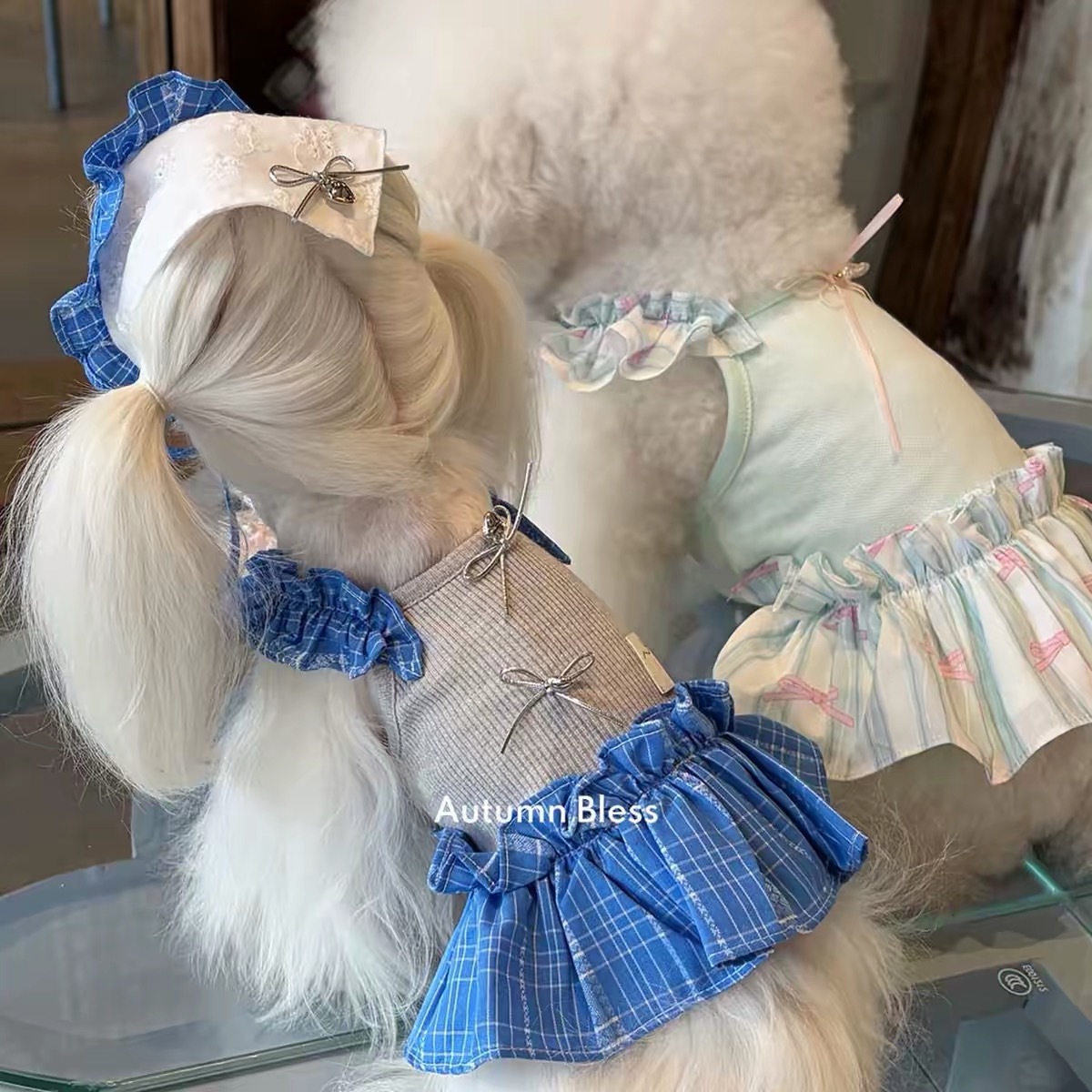 AUTUMN BLESS PET DRESS