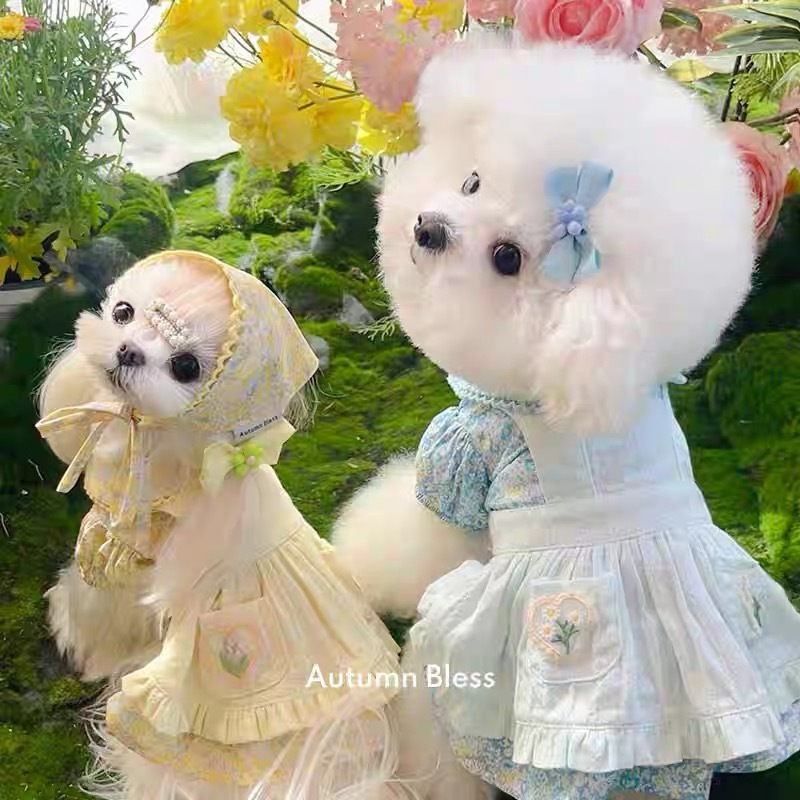 AUTUMN BLESS PET DRESS