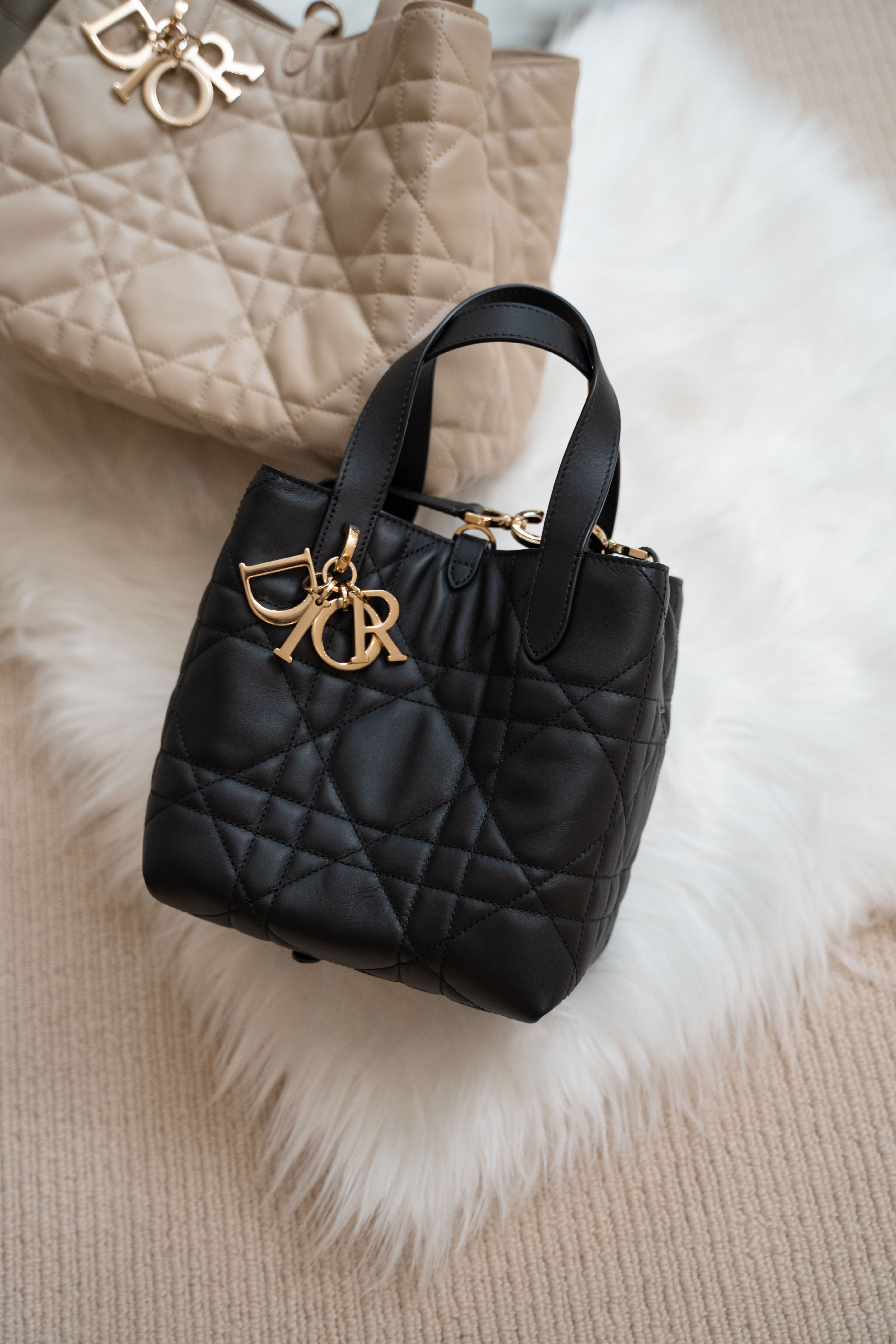 Dior Small Dior Toujours Vertical Tote Bag Black 手袋