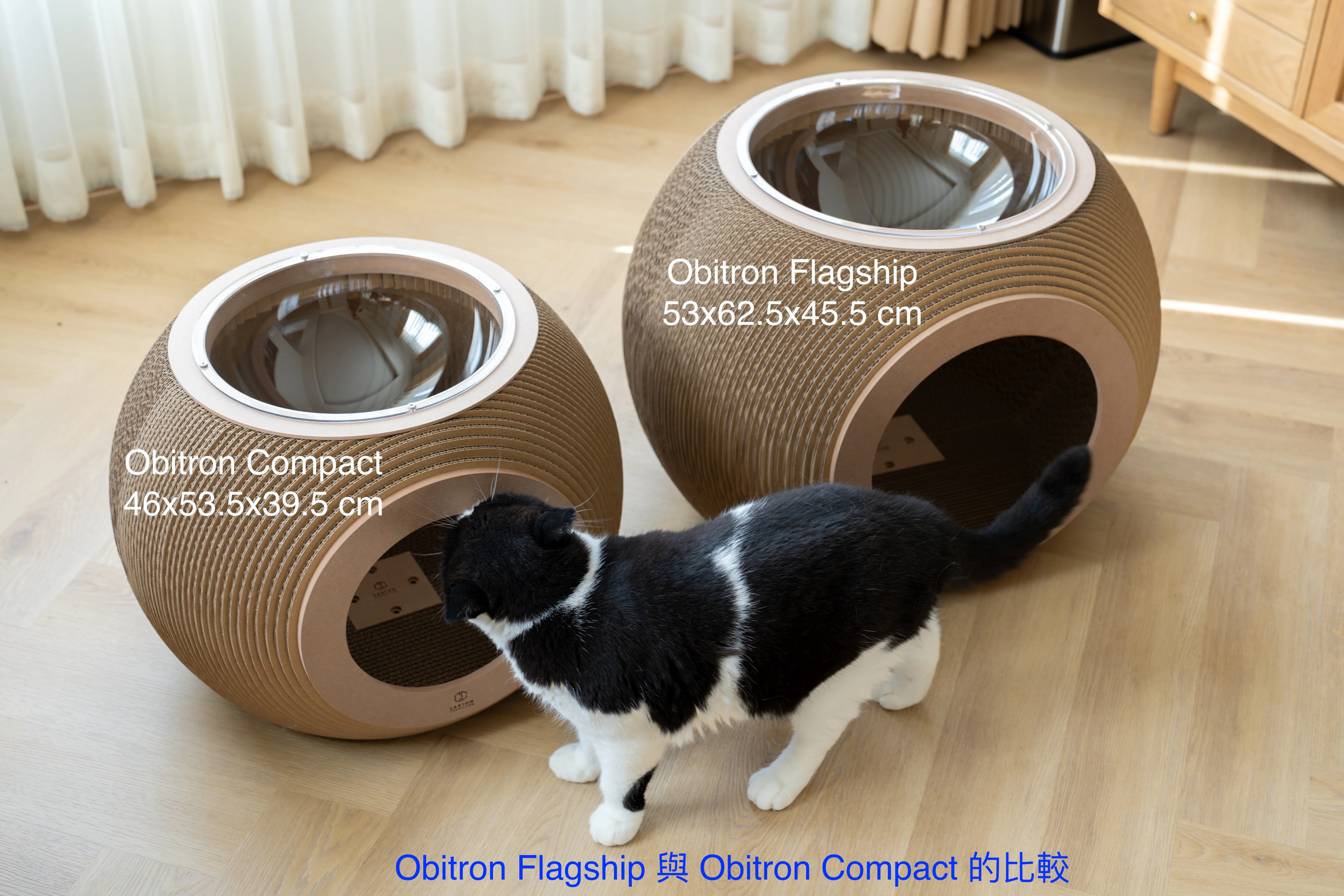 泰國 Carton Connection 圓球雙層貓抓板 (Obitron Compact)