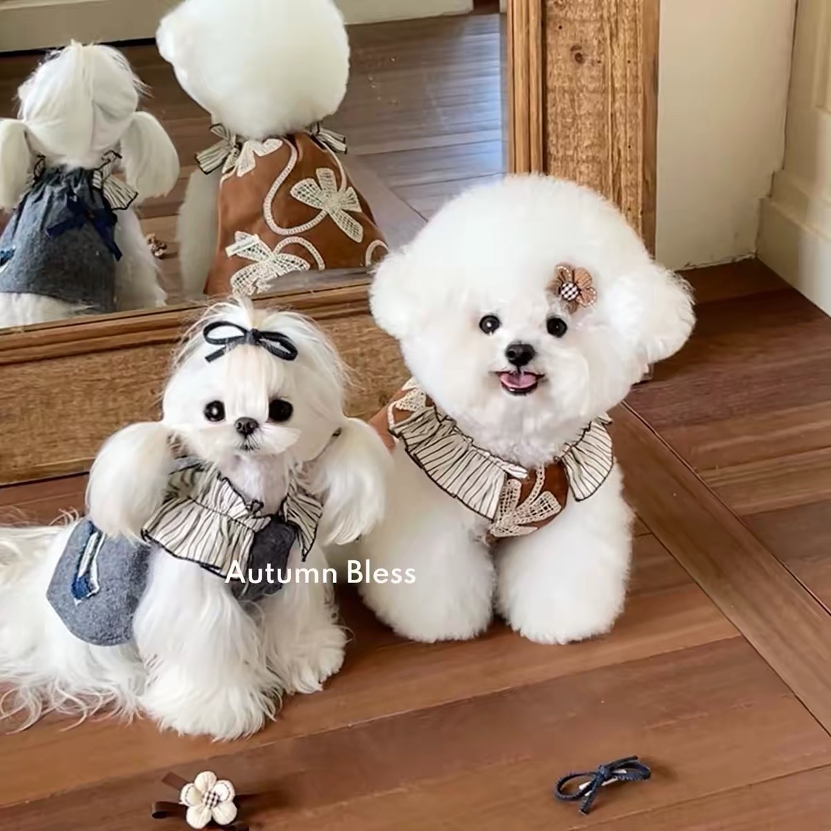 AUTUMN BLESS PET DRESS