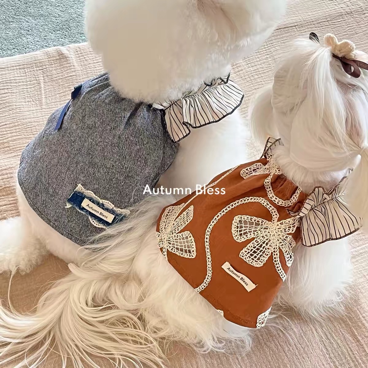 AUTUMN BLESS PET DRESS