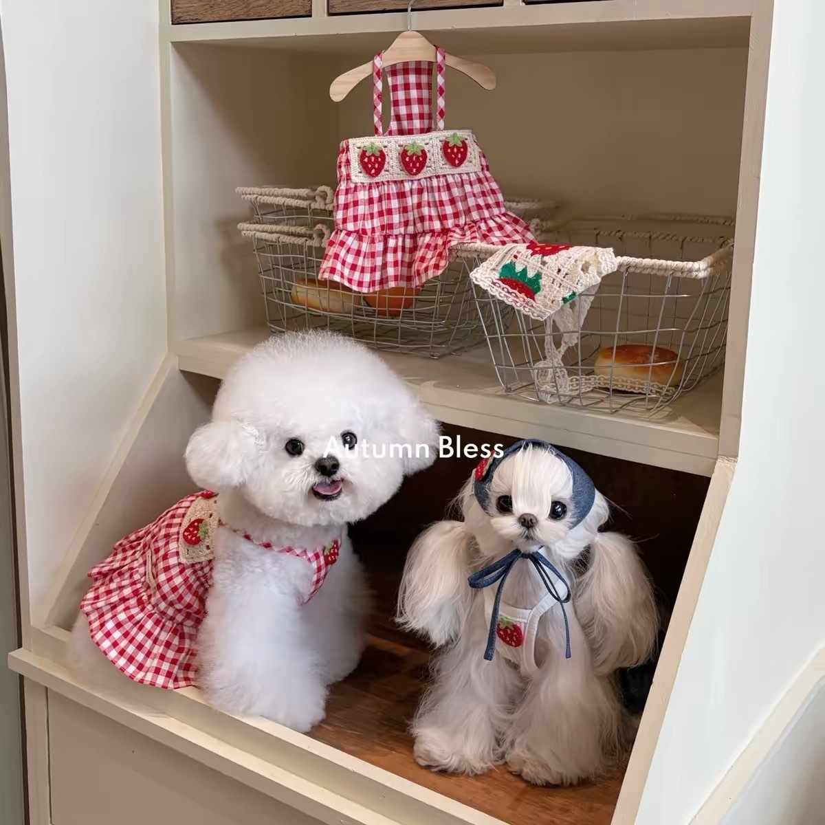 AUTUMN BLESS PET DRESS