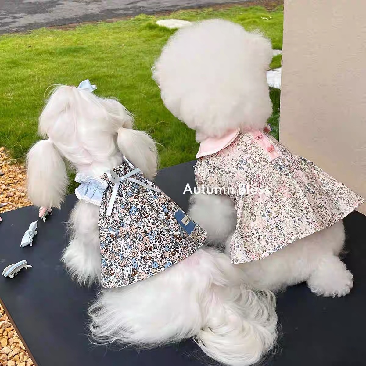 AUTUMN BLESS PET DRESS
