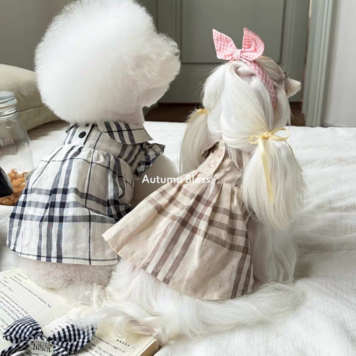 AUTUMN BLESS PET DRESS