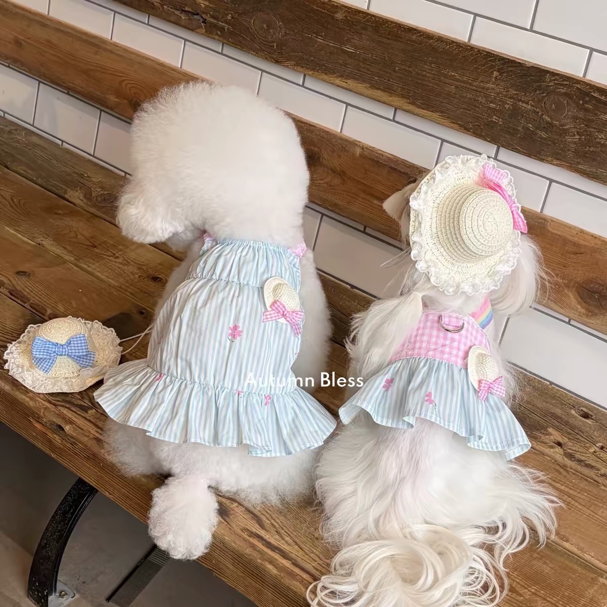 AUTUMN BLESS PET DRESS