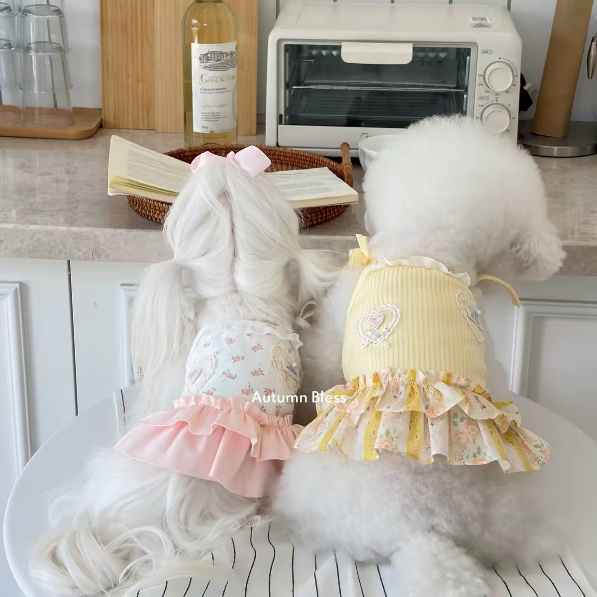 AUTUMN BLESS PET DRESS