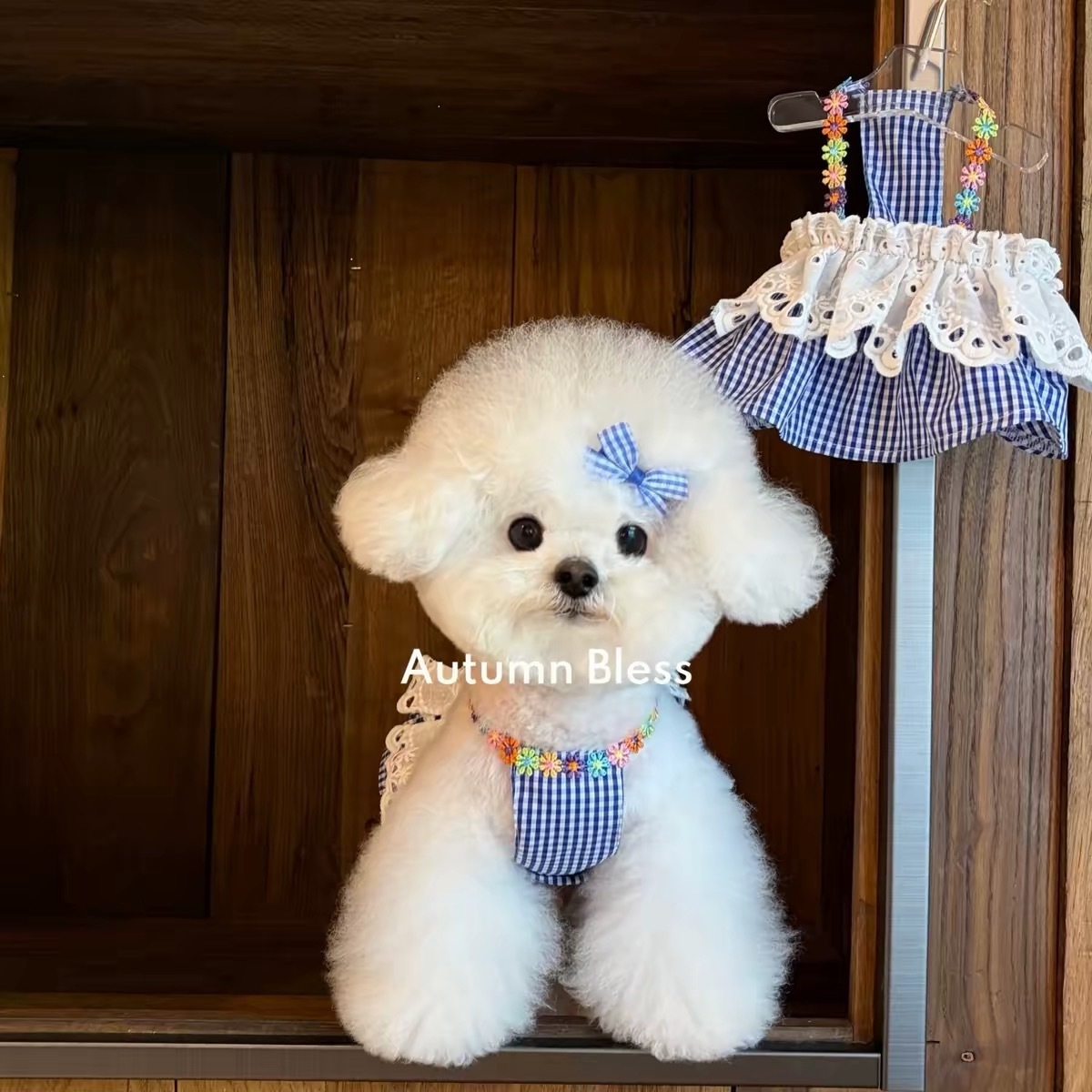 AUTUMN BLESS PET DRESS