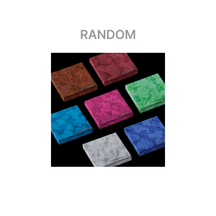 ENHYPEN the Sin:Vanish Fugitives album ( random )