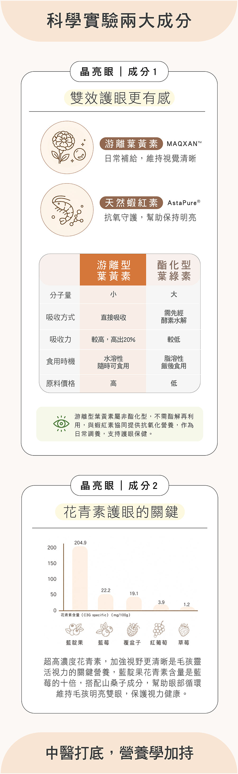 HOMI晶亮眼核心配方,黨蔘、當歸、菊花、枸杞與漢方草本