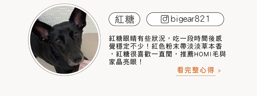 挑食米克斯好評推薦：紅糖（bigear821）實測HOMI晶亮眼漢方保健粉拌飼料直接吃光，高適口性評價