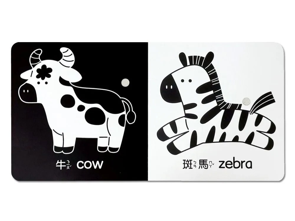寶貝早教視覺有聲書：黑白：BLACK AND WHITE