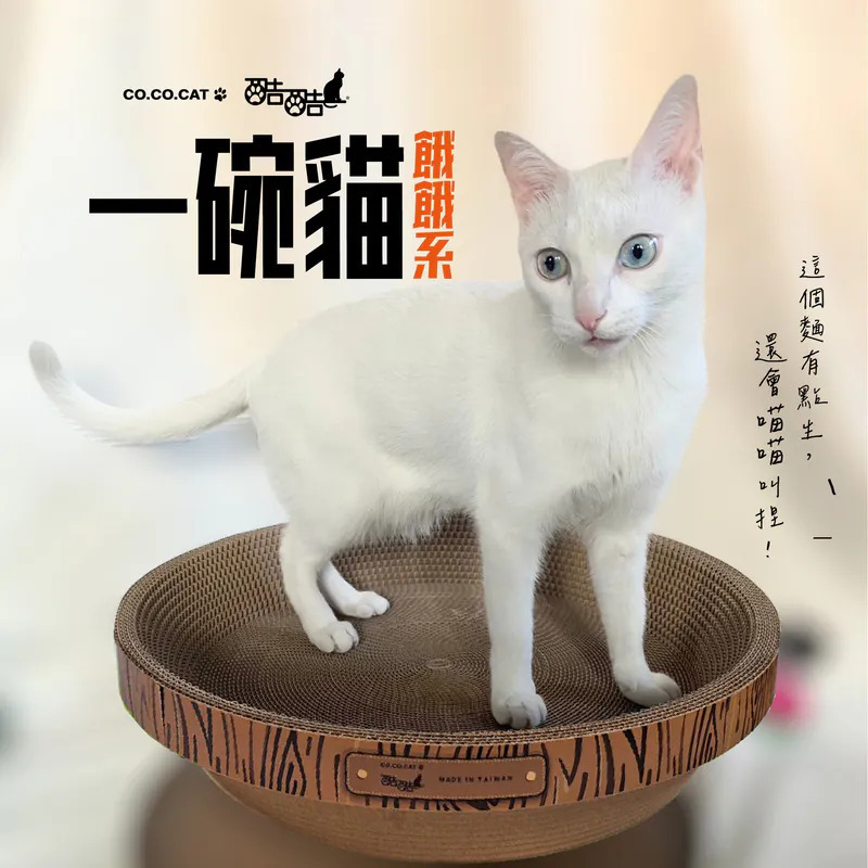台灣CO.CO.CAT酷酷貓｜一碗貓貓抓板