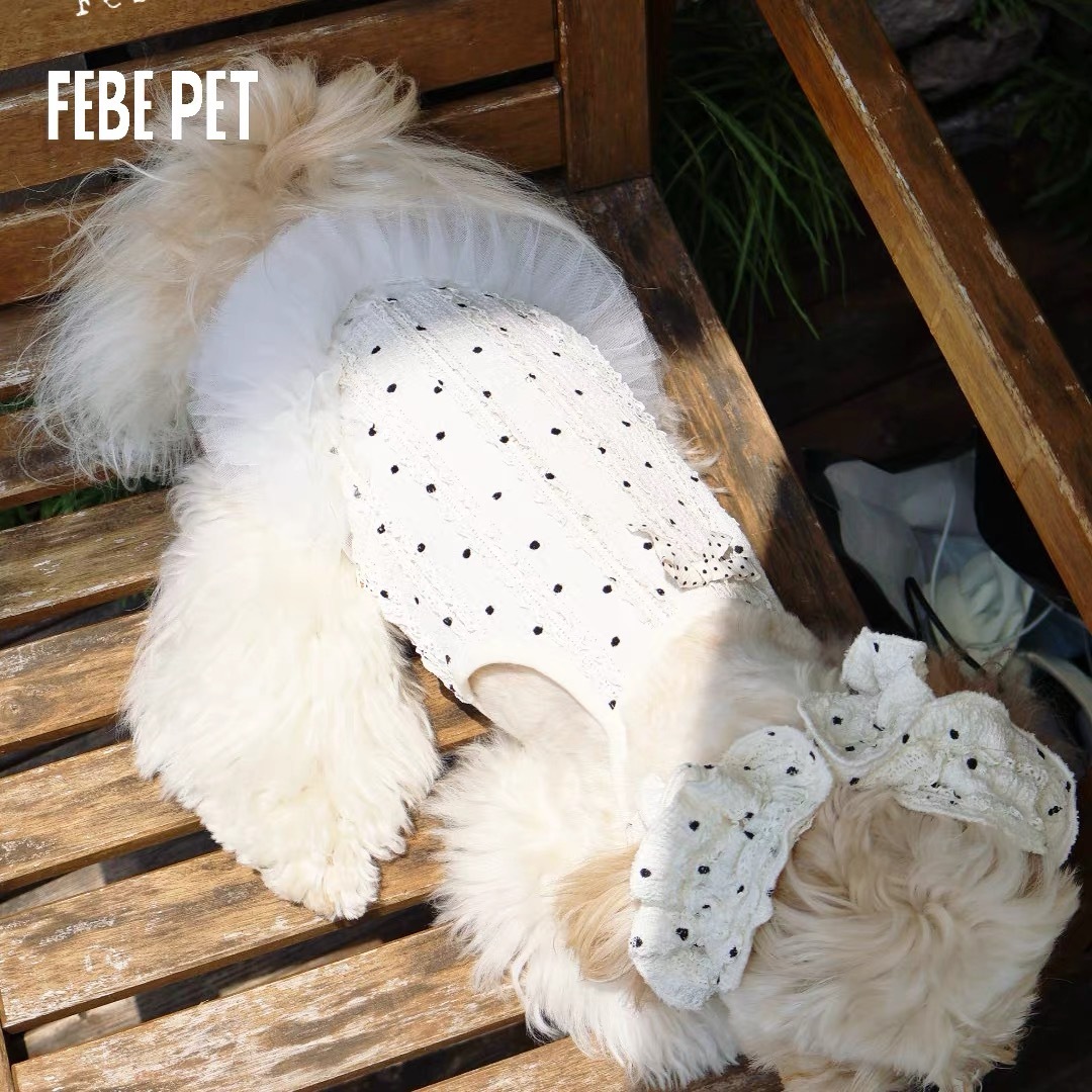 FEBEPET POLKA DOT WALTZ  SKIRT