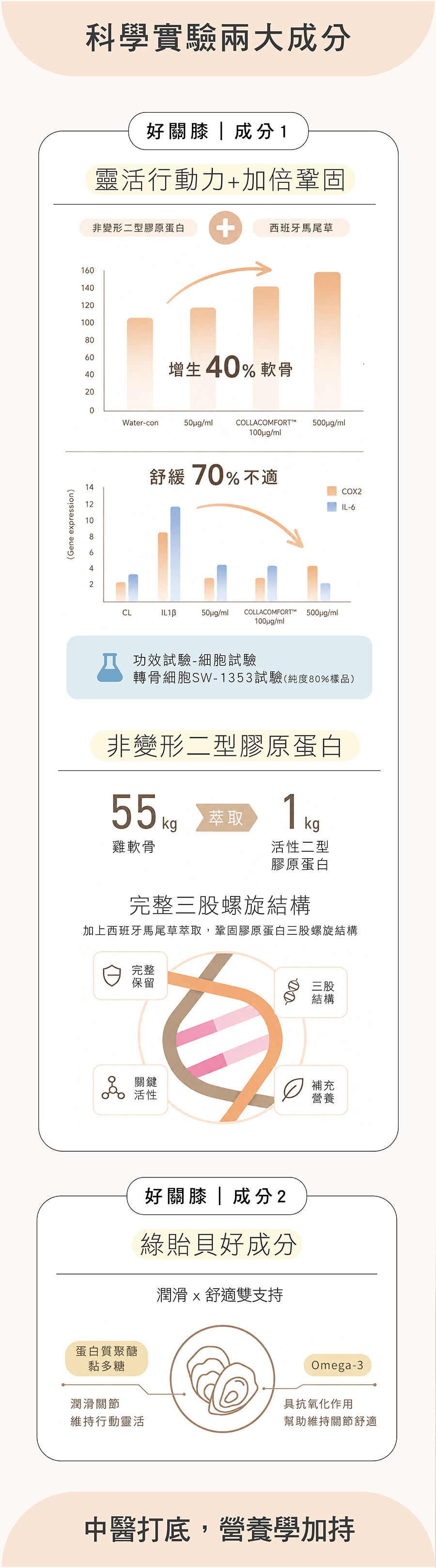 HOMI好關膝核心配方，龜鹿濃縮、枸杞、人蔘、黃精與漢方草本