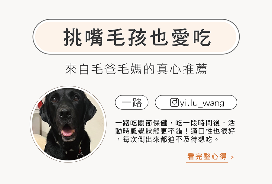 挑嘴米克斯好評推薦：一路（yi.lu_wang）實測HOMI好關膝漢方保健粉拌飼料直接吃光，高適口性評價