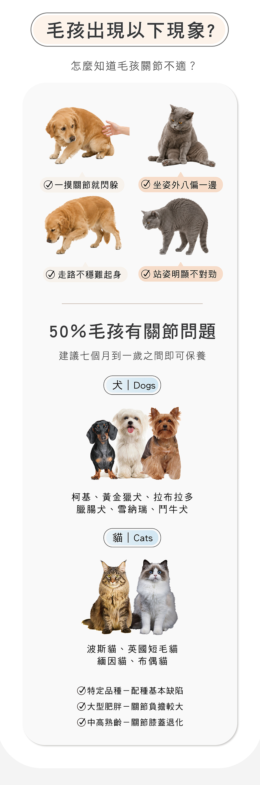 犬貓關節弱前兆（摸關節會閃躲、坐姿外八偏一邊、走路不穩、爬不起來）與50%關節都有問題的品種（大型犬、黃金獵犬、拉布拉多、臘腸犬）保養建議