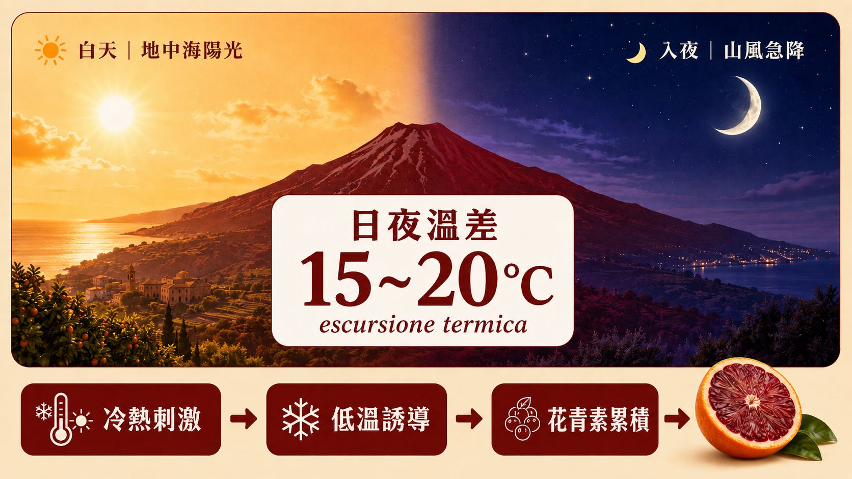 埃特納火山下的血橙果園與火山灰土壤