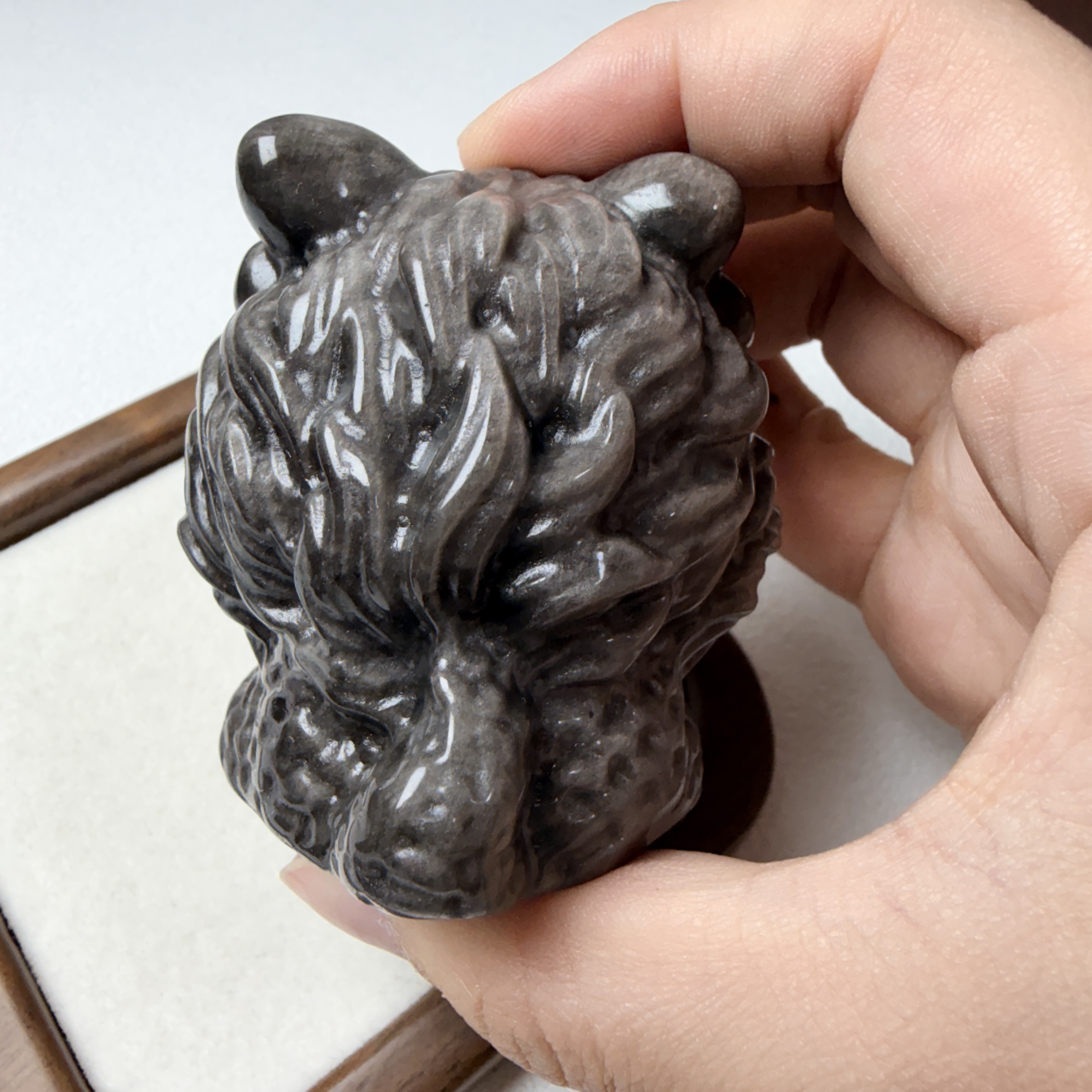 銀曜醒獅