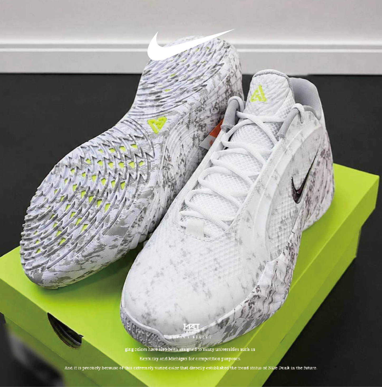 NIKE GIANNIS FREAK 8 LE EP 大理石 字母哥 實戰 籃球鞋 JA1402-100