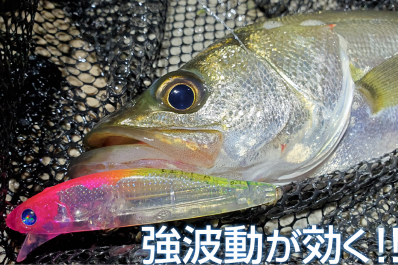BlueBlue ZEPPER 80S 沉水米諾