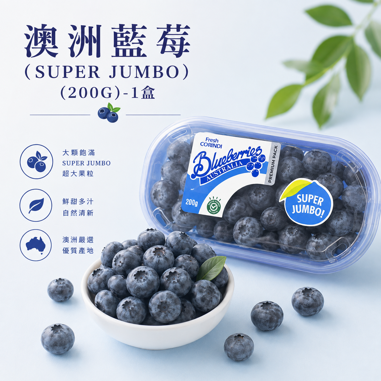 澳洲藍莓(SUPER JUMBO)(200G)-1盒