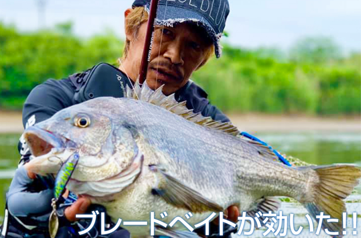 BlueBlue Shalldus 14 複合亮片