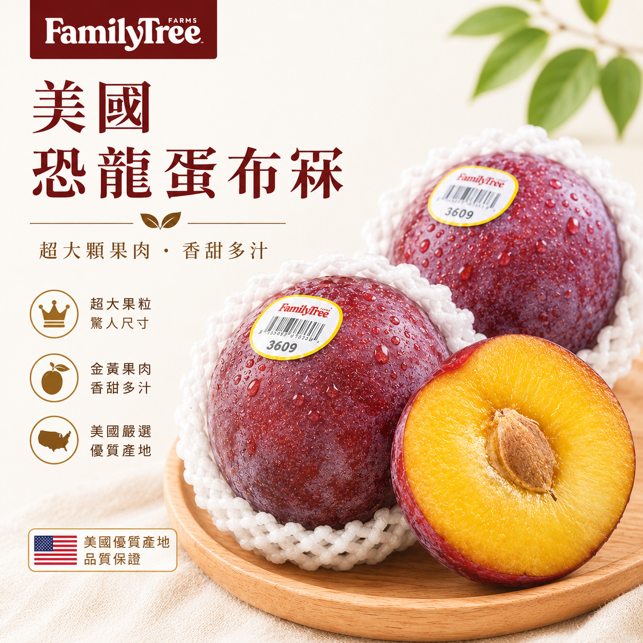 美國恐龍蛋布冧(2個)-1包