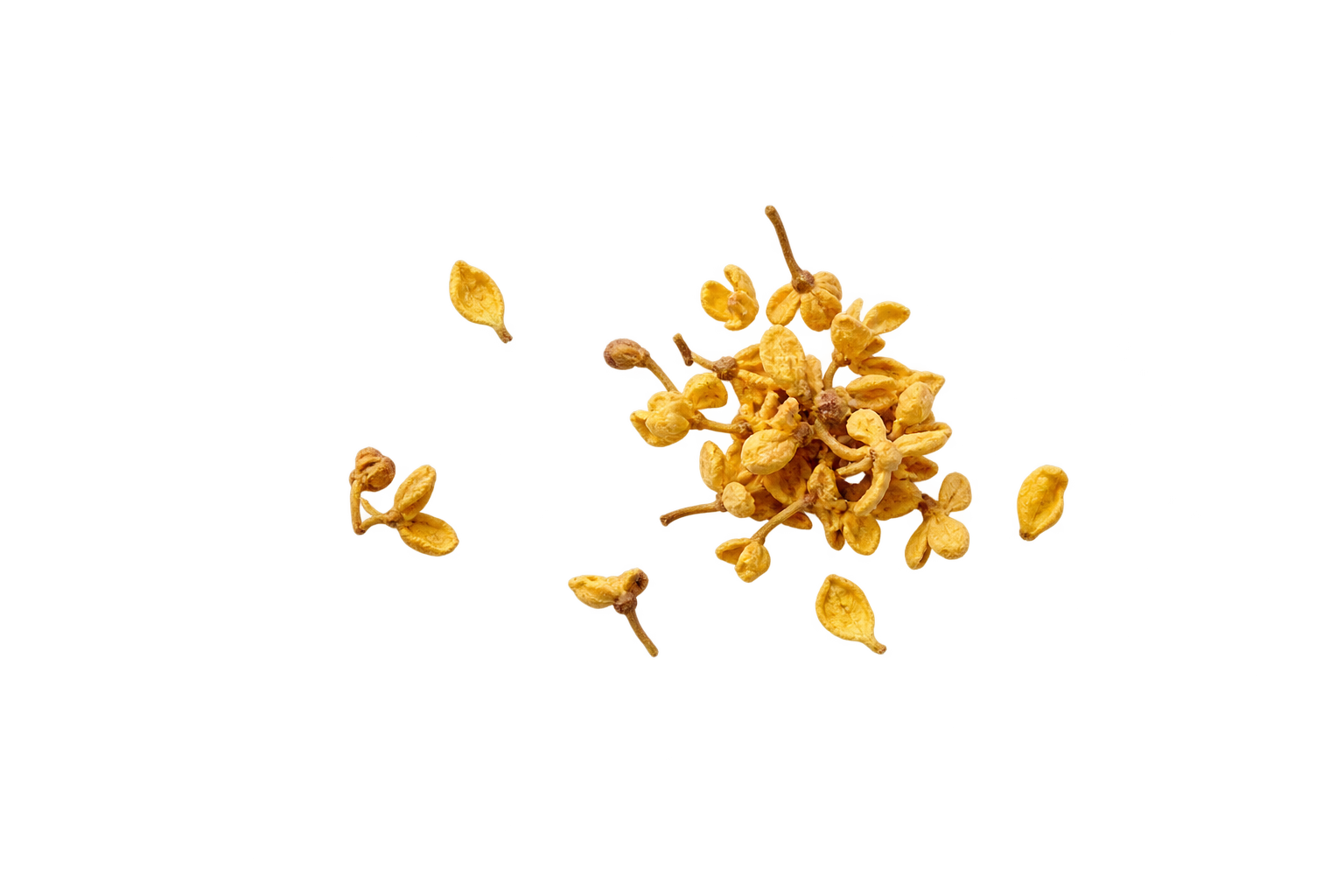 松子