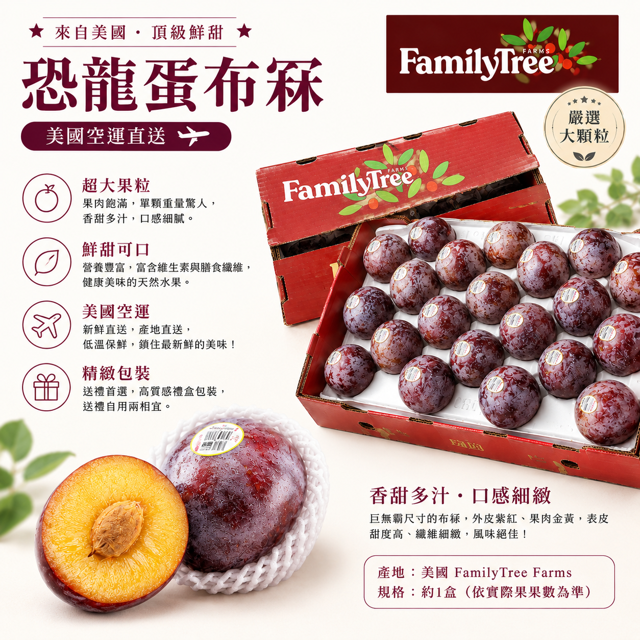 美國恐龍蛋布冧(24-28個)-1盒