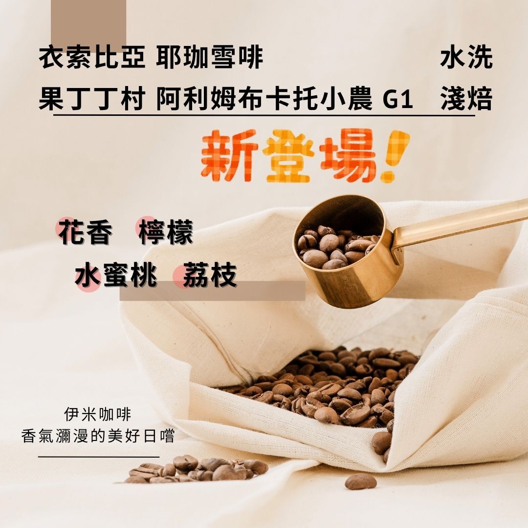 衣索比亞 水洗 耶珈雪啡 果丁丁村 阿利姆布卡托小農 G1/半磅