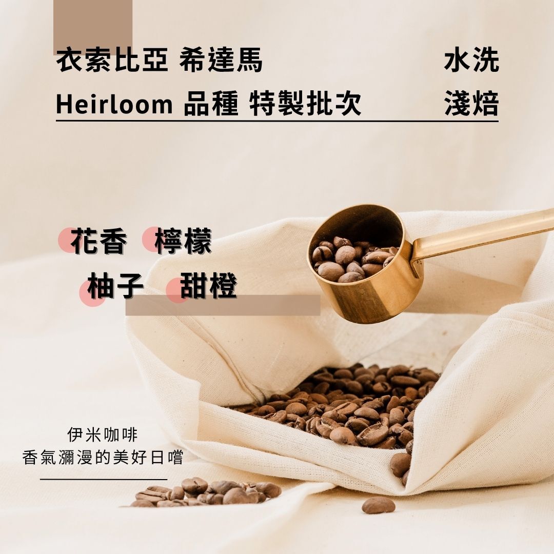 衣索比亞 希達馬  Heirloom 品種 水洗 特製批次 /半磅