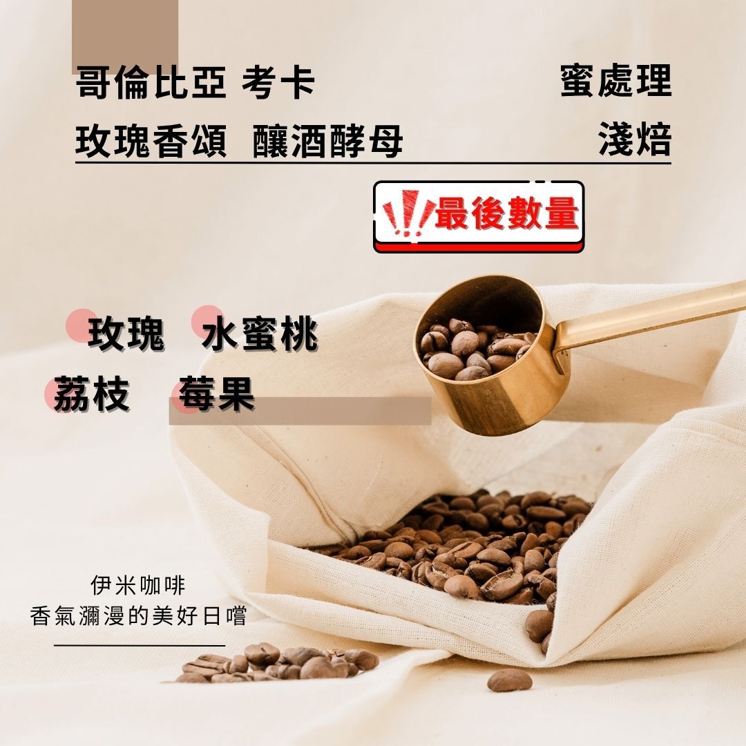 哥倫比亞 考卡  玫瑰香頌  釀酒酵母 蜜處理
