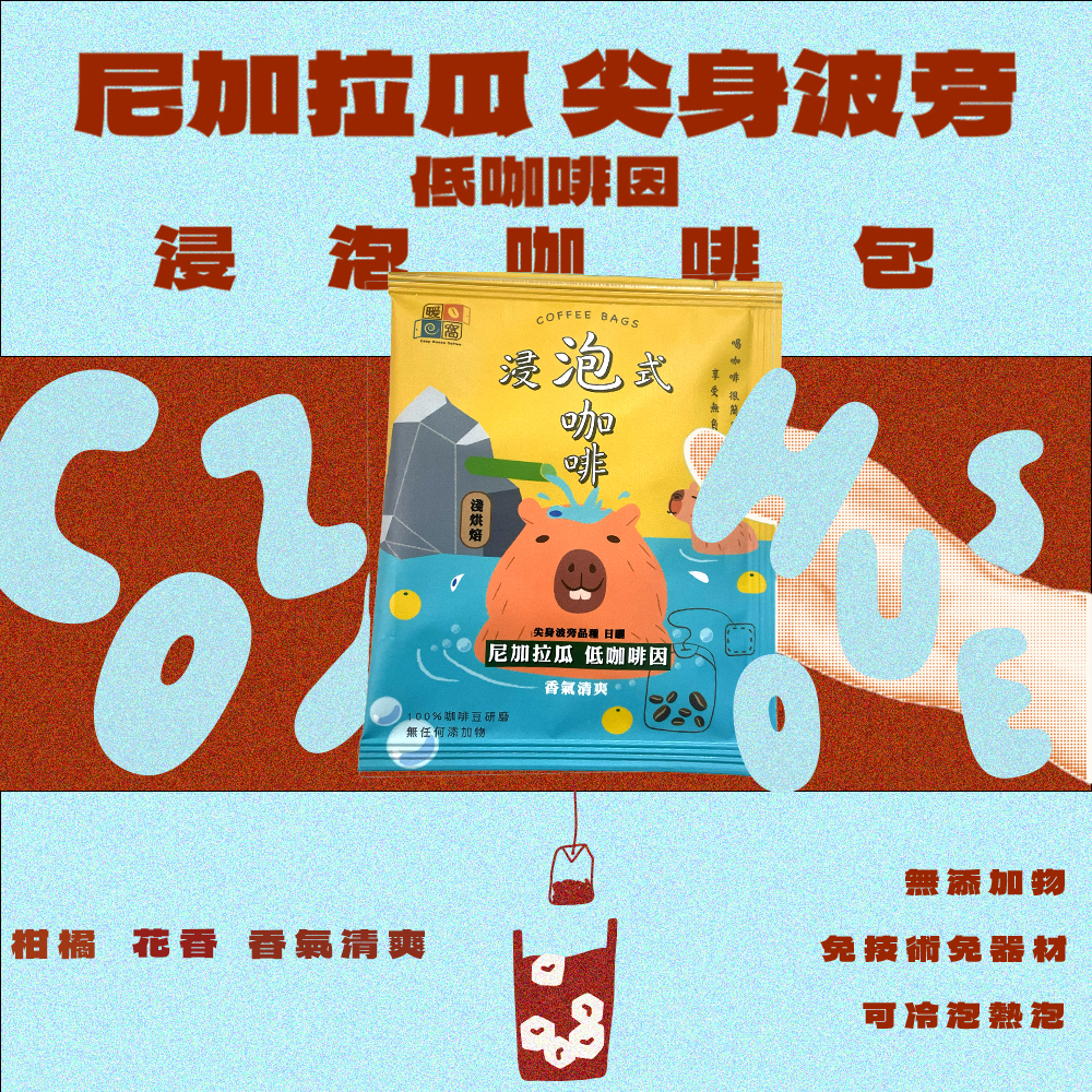 【多件優惠】【快速出貨】淺焙｜尼加拉瓜 低咖啡因 尖身波旁_浸泡咖啡包 / 冷泡咖啡包 / 冷萃咖啡包 / 露營咖啡包