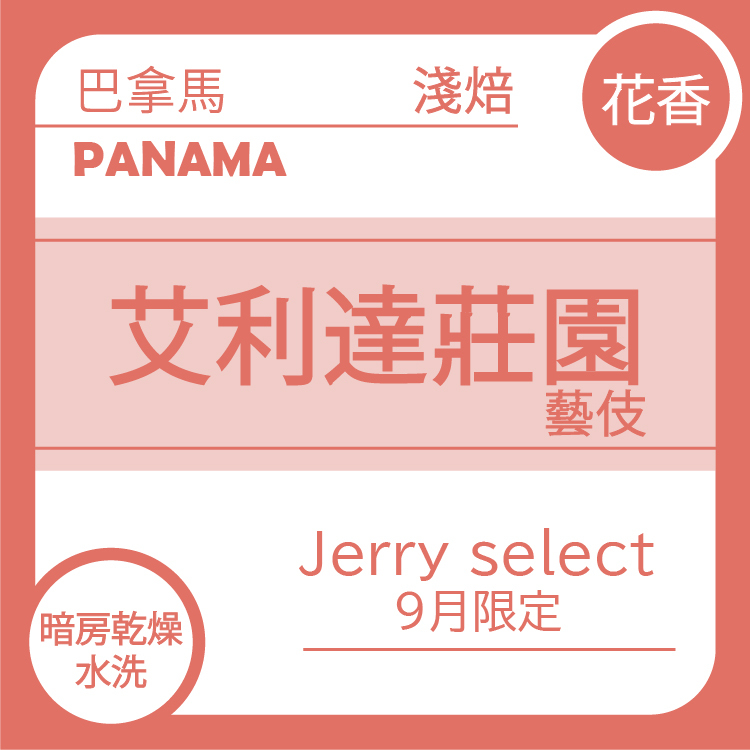 Jerry select 【巴拿馬 艾利達莊園 Torre 地塊  】暗房乾燥水洗100g (9/14出貨)
