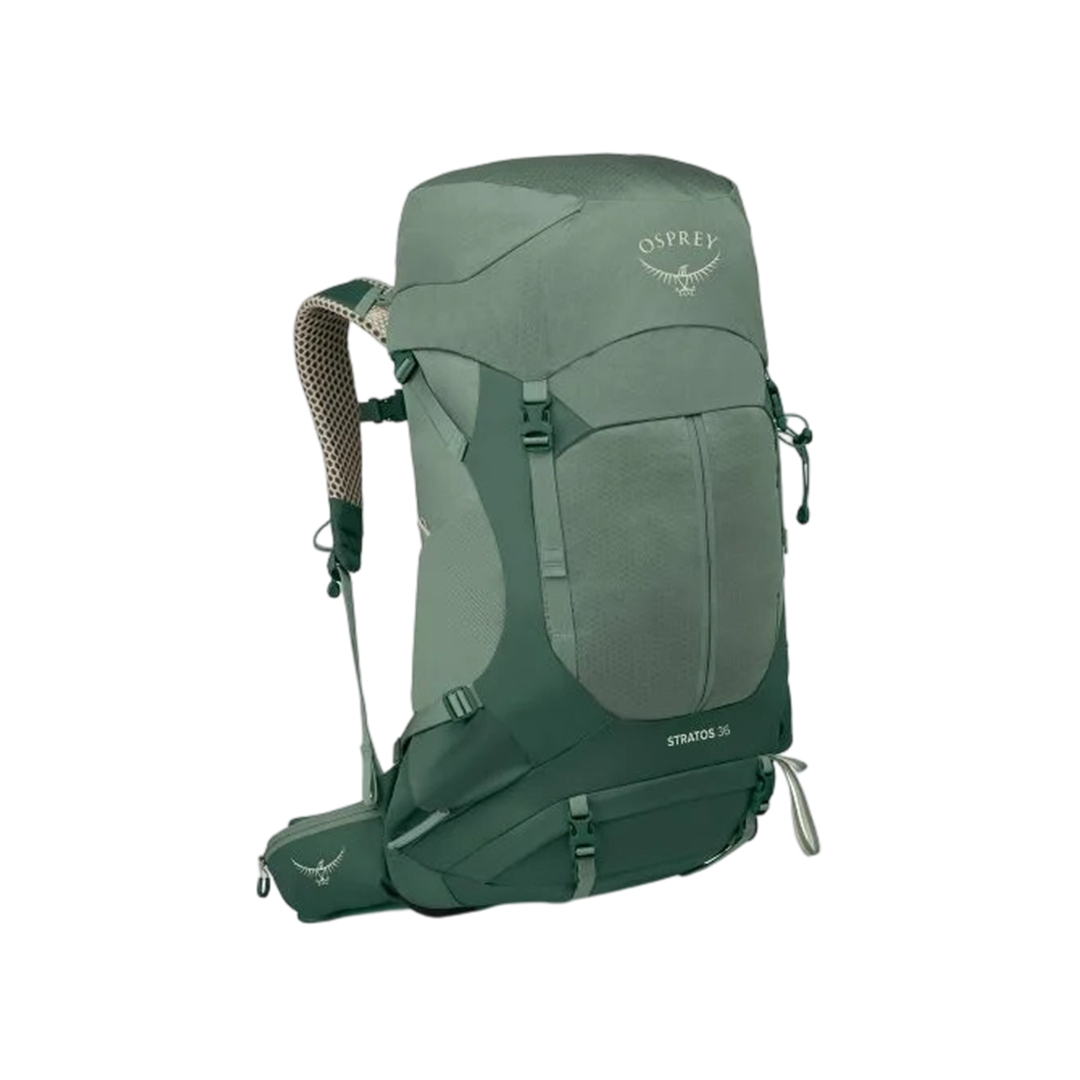 Osprey 美國 Sirrus 36L (松葉綠色) 72OS007534