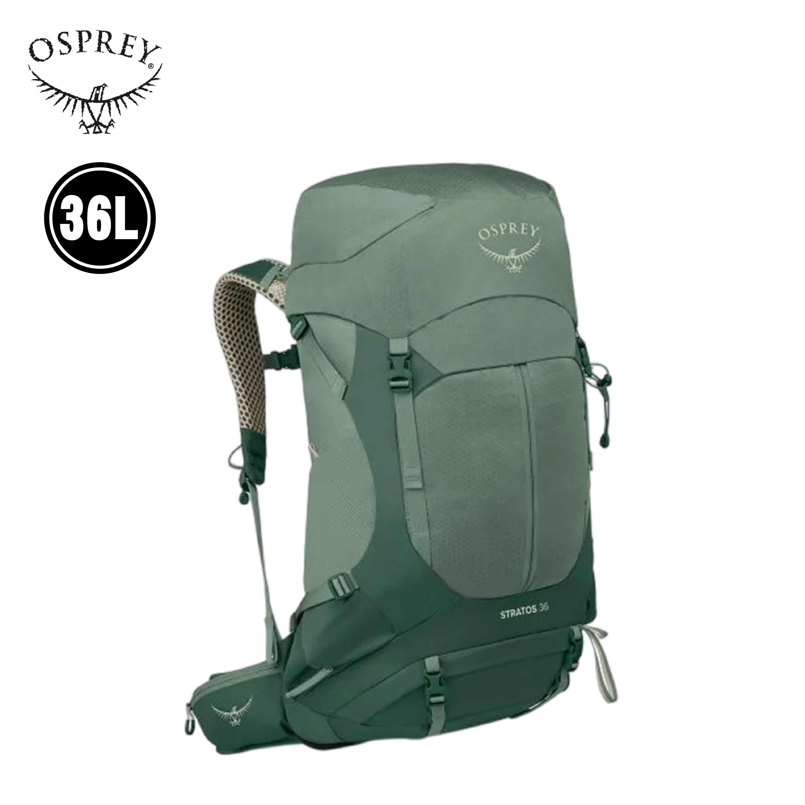 Osprey 美國 Sirrus 36L (松葉綠色) 72OS007534