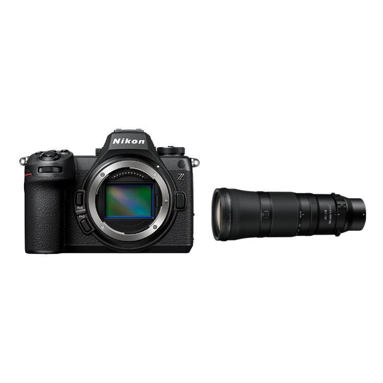 【9月追光】Nikon Z6III ＋ 180-600mm