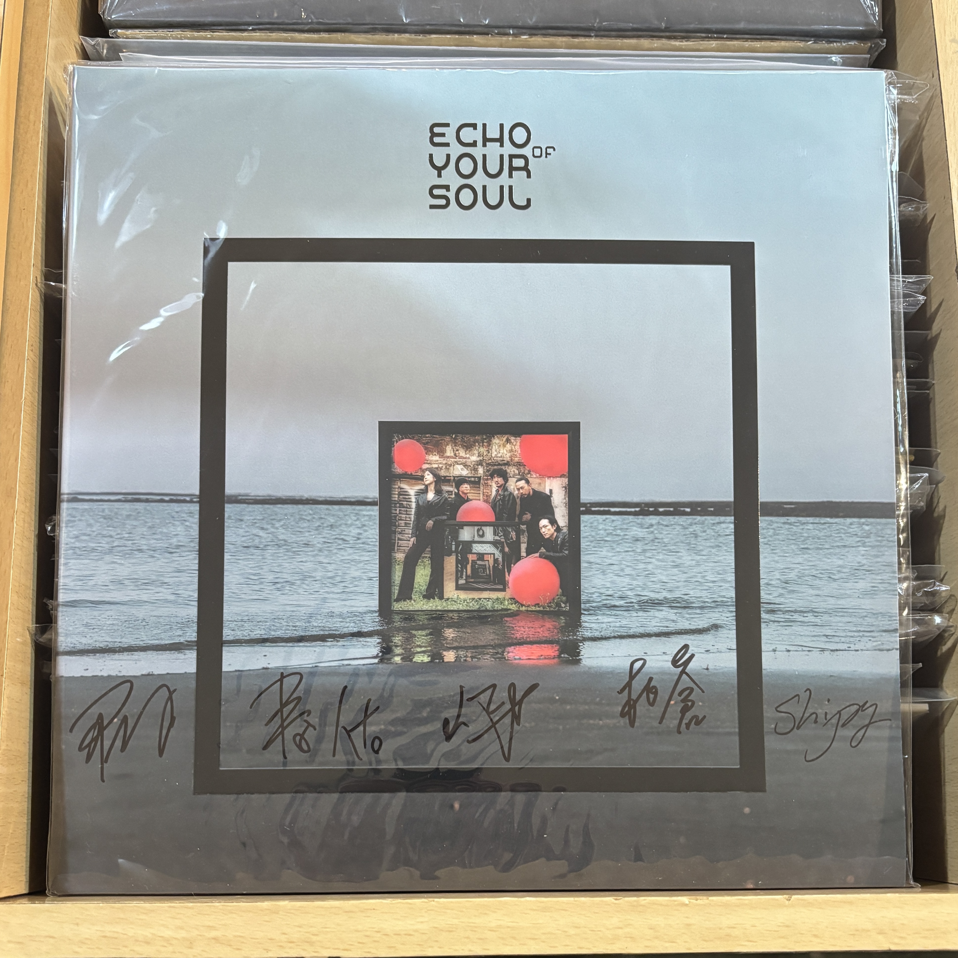 回聲樂團 Echo of Your Soul《靈魂的回聲》（首批限定簽名版斯180g 紅膠LP + 精美大尺寸歌詞攝影冊）