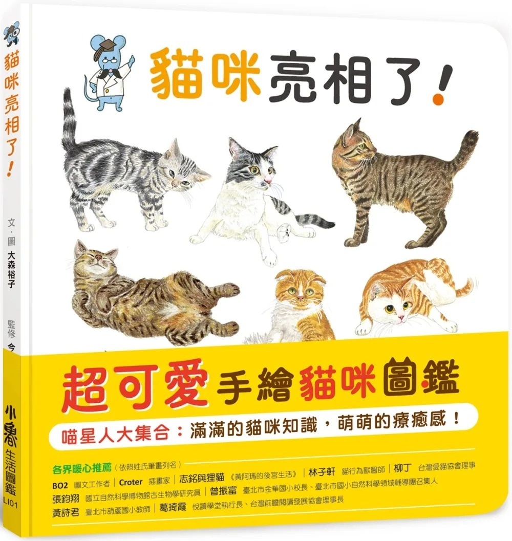 貓咪亮相了!