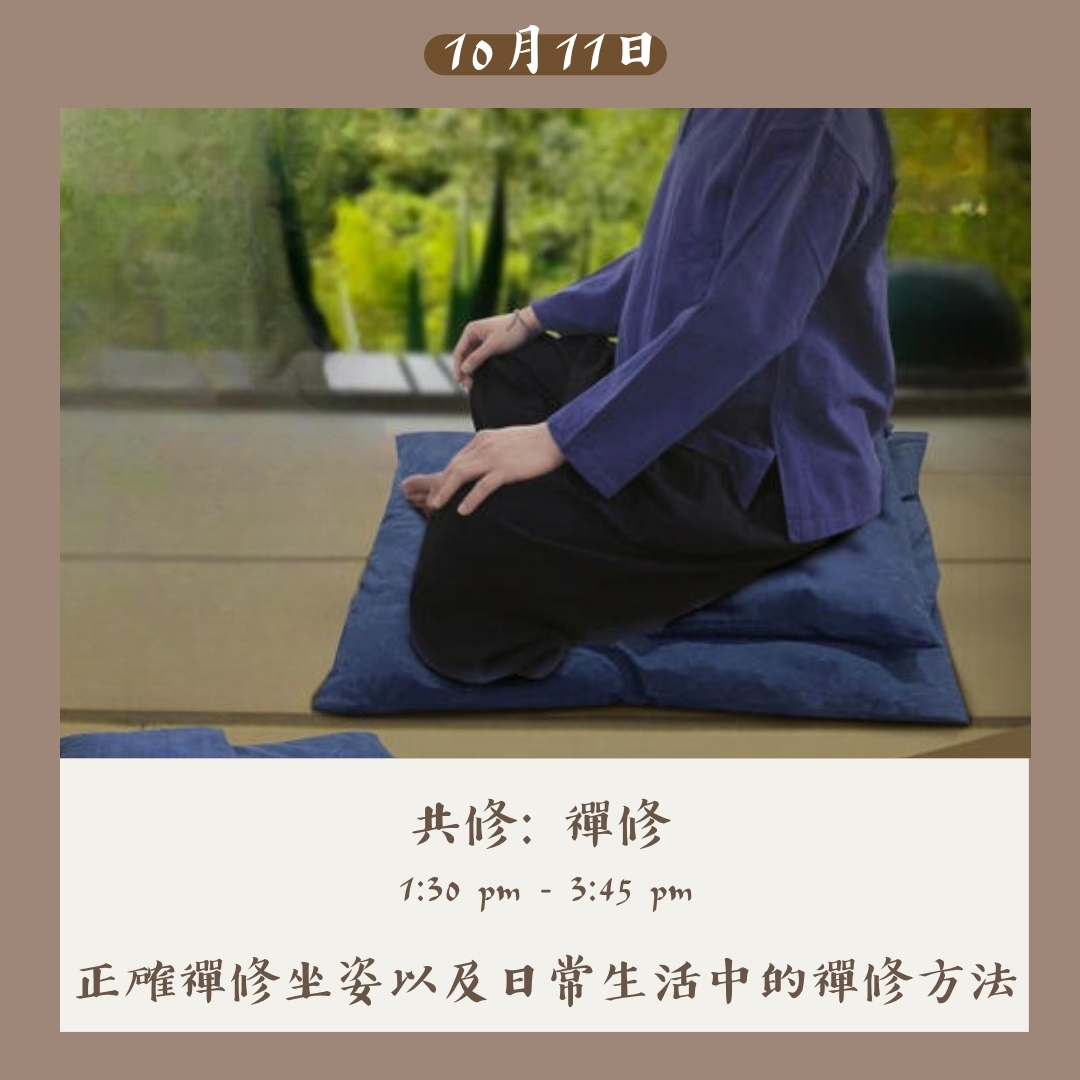 共修：禪修 - 坐禪 (11/10/2026)
