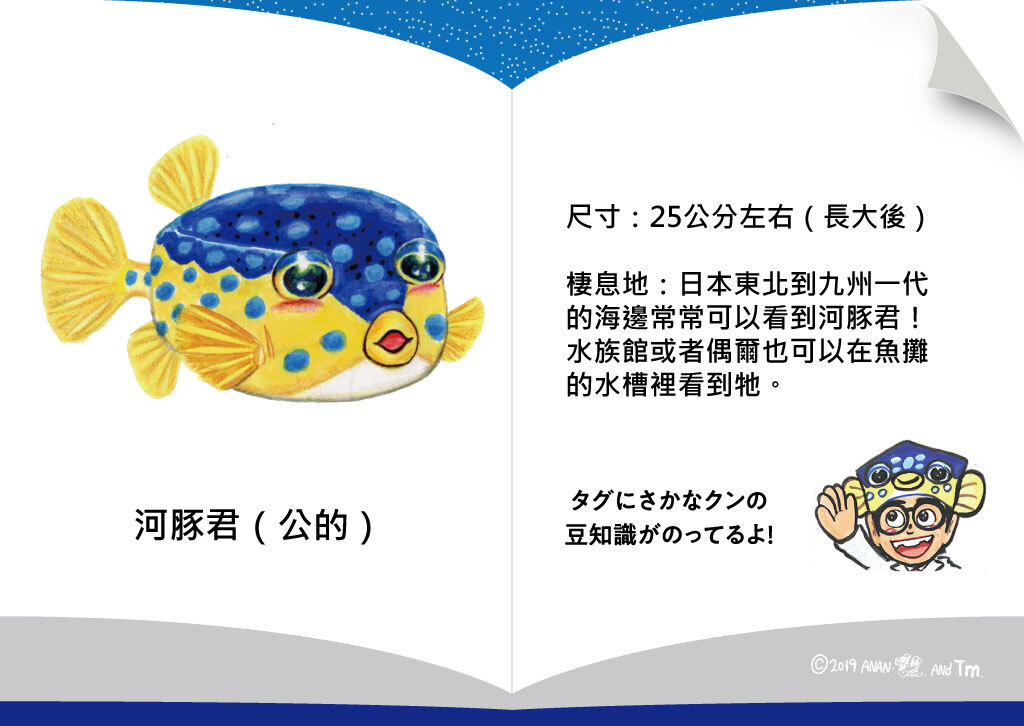 [OSAKANA SAN] SK002 河豚 (雄性)
