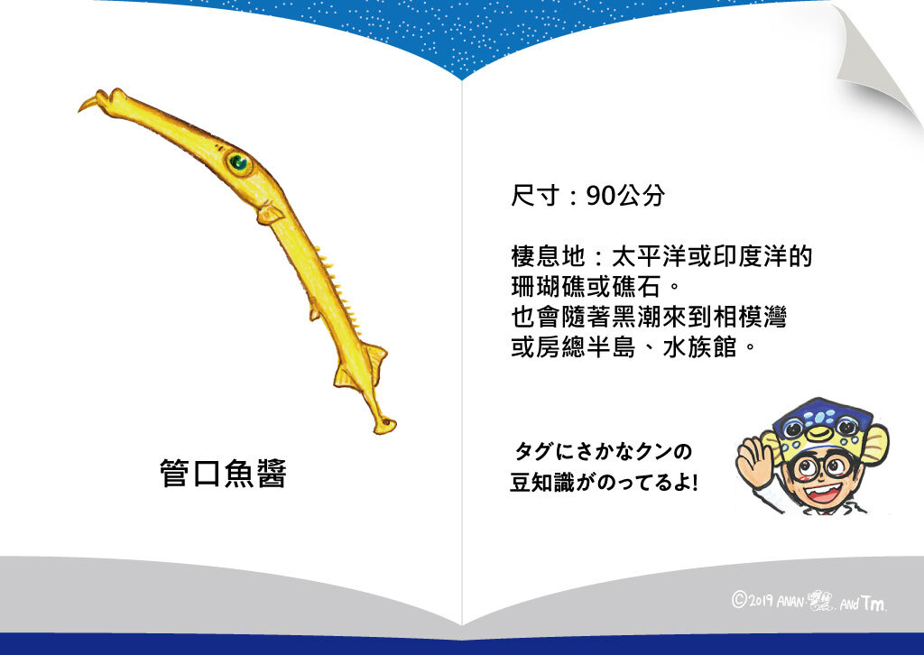 [OSAKANA SAN] SK007 管口魚